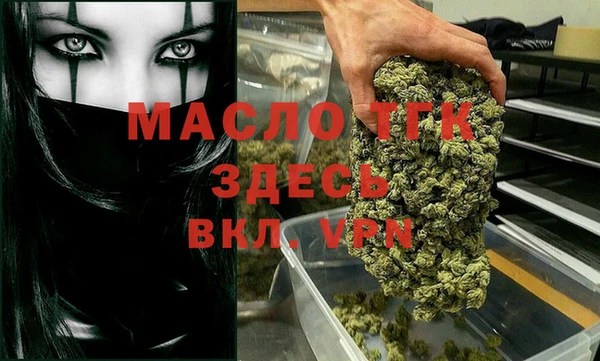 индика Тында