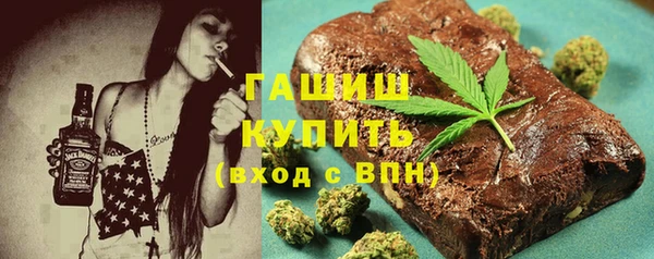индика Тында
