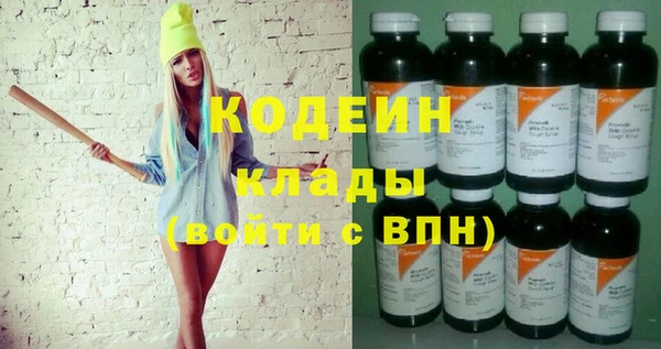 индика Тында