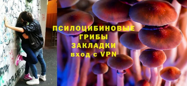 прущие крисы Тутаев