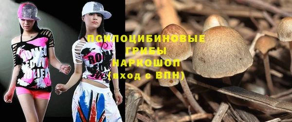 индика Тында