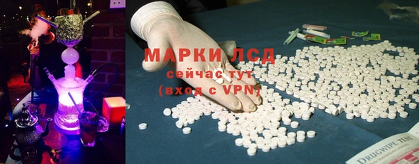 индика Тында