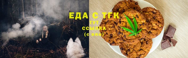индика Тында