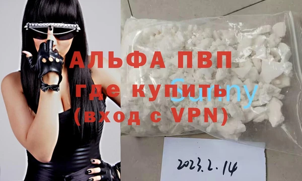 индика Тында