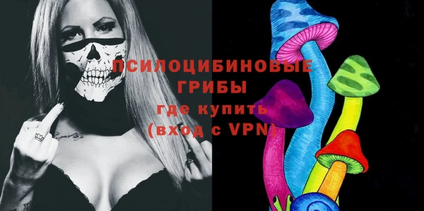 индика Тында