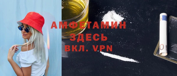 индика Тында