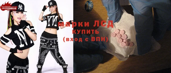 индика Тында